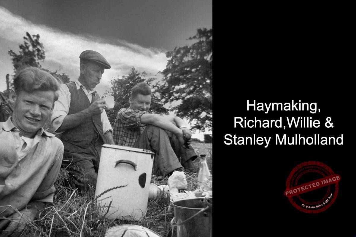 Irish haymaking 1962